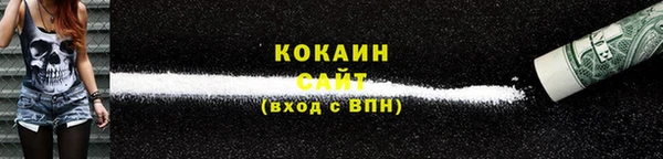 крисы Снежногорск