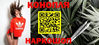 гашик Волжский