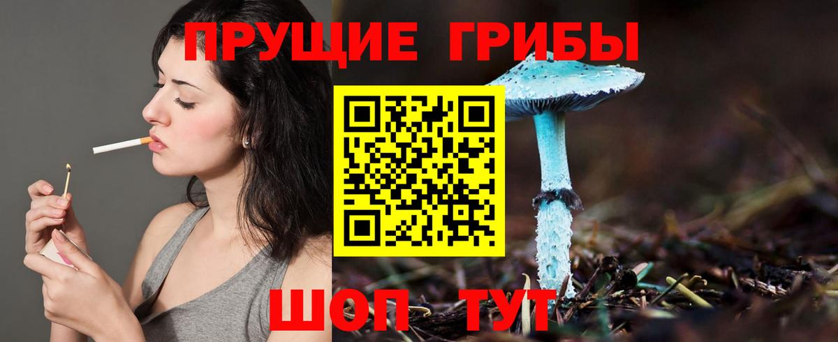 Сибай  Псилоцибиновые грибы Psilocybine cubensis  Вход с VPN 